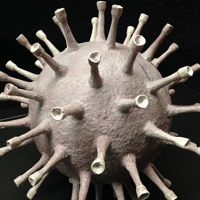 new-covid-19-variant-detected-in-south-africa