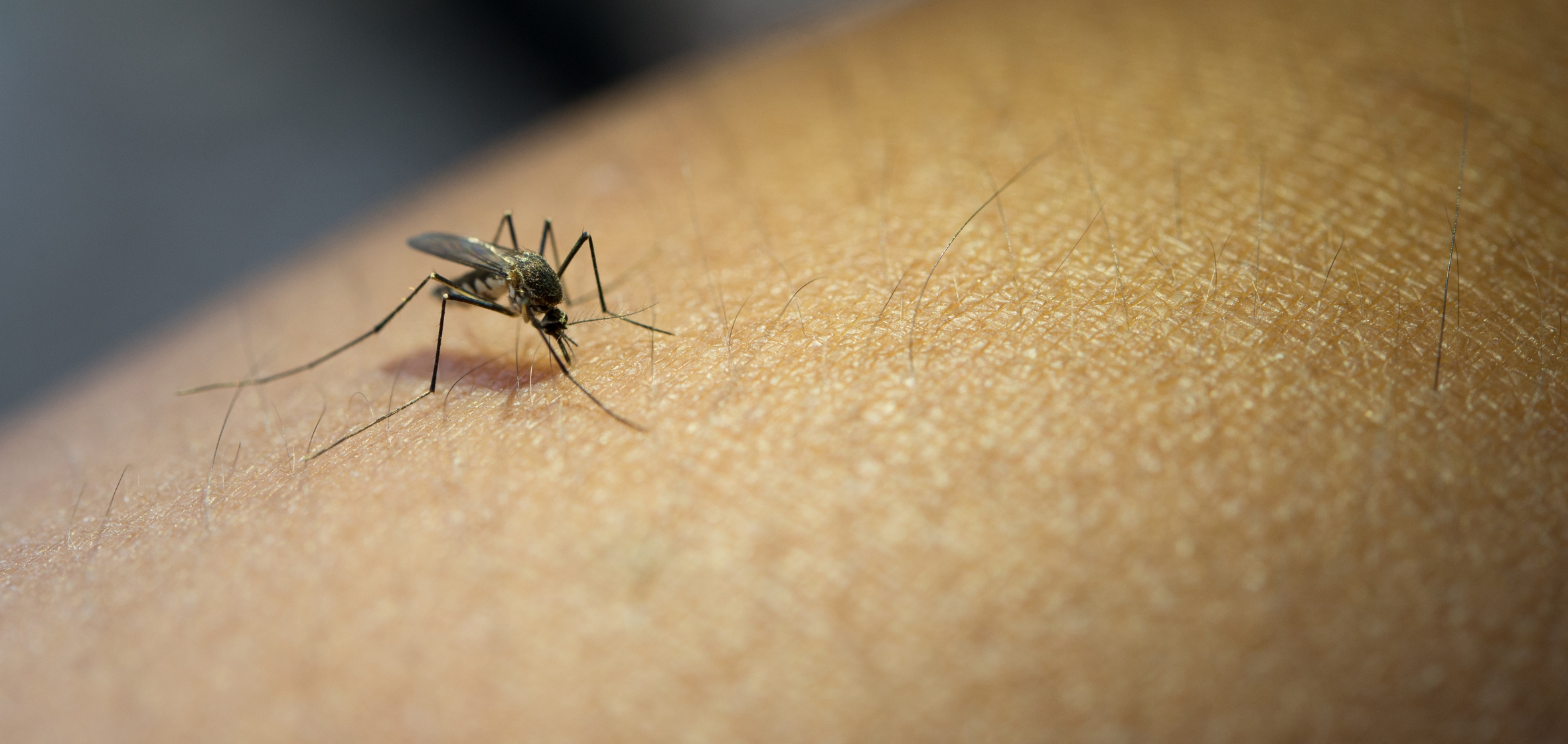 climate-change:-an-ideal-breeding-ground-for-malaria